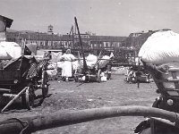 Na Sajmištu 1955. godine (Foto Tošo Dabac)
